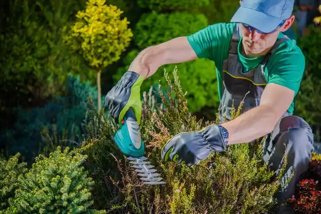 landscaping services Newberry